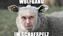 Wolfgang im Schafspelz